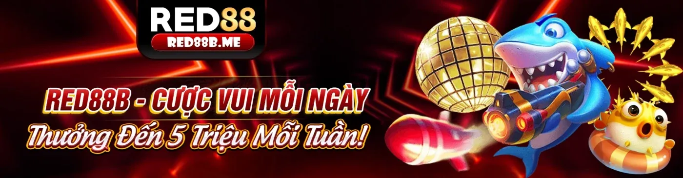 Tổng quan về 8s97 nhà cái
